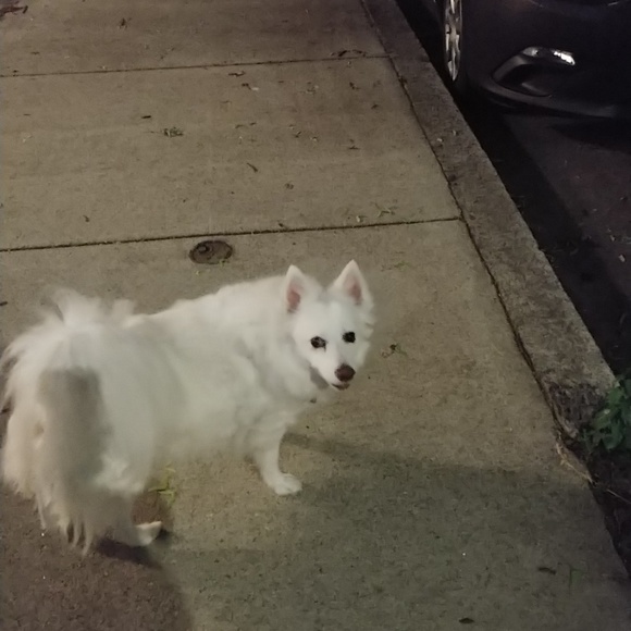 Meet Riley and Angie - Picture 3 of 5